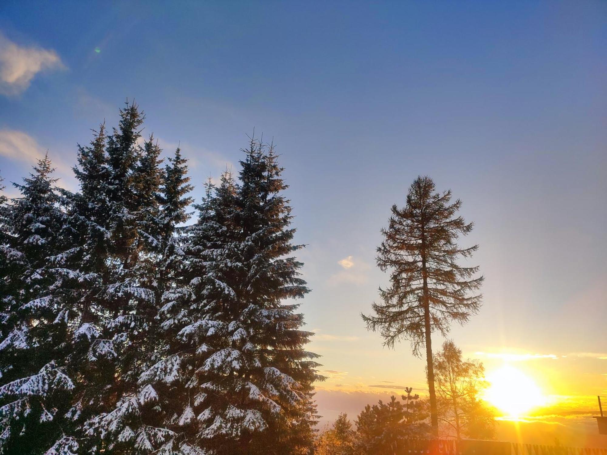 Nature Living Koralm - Neue Chalets Auf Der Koralpe Im Schi- Und Wanderparadies Sankt Stefan im Lavanttal Экстерьер фото