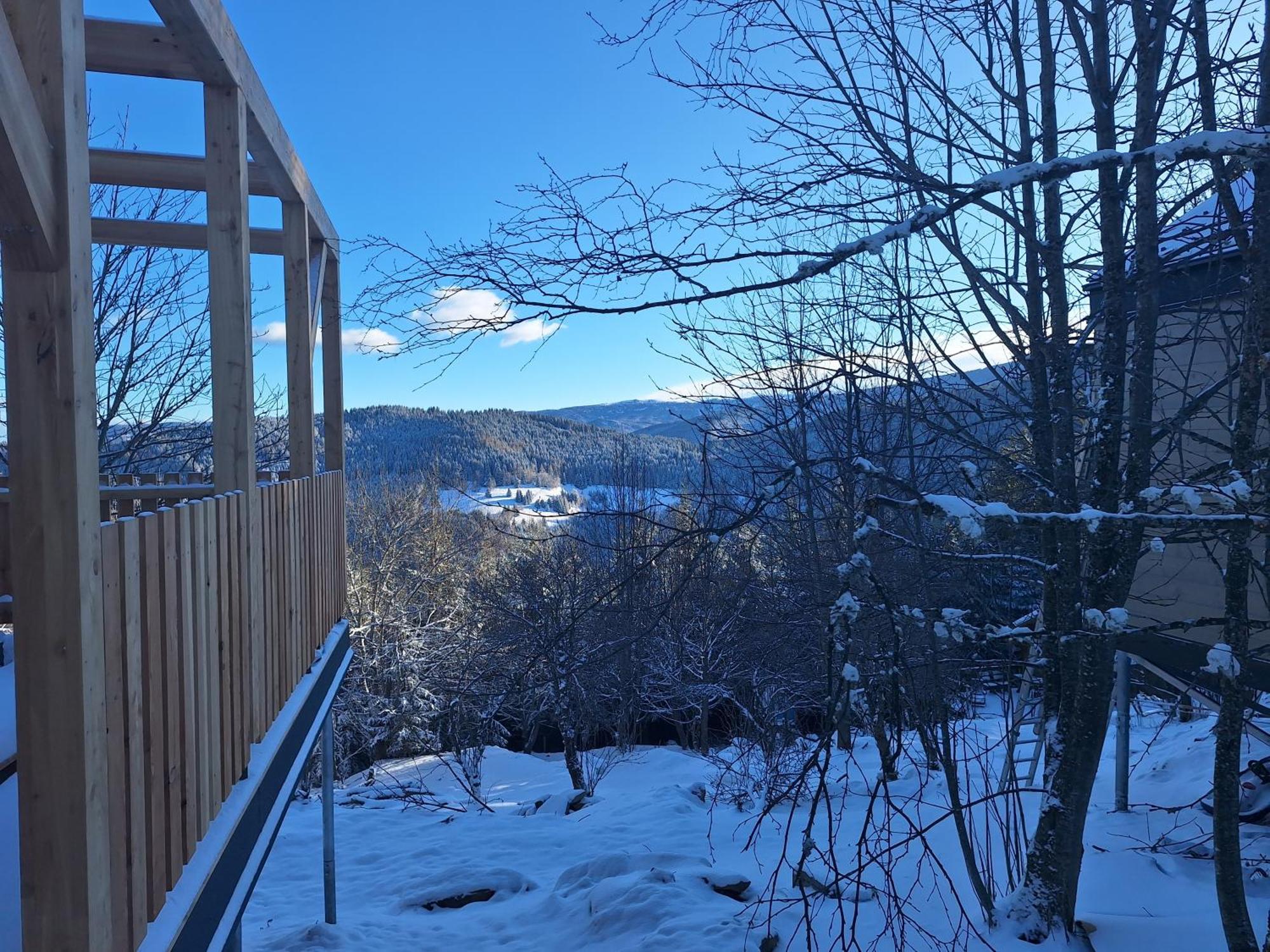 Nature Living Koralm - Neue Chalets Auf Der Koralpe Im Schi- Und Wanderparadies Sankt Stefan im Lavanttal Экстерьер фото