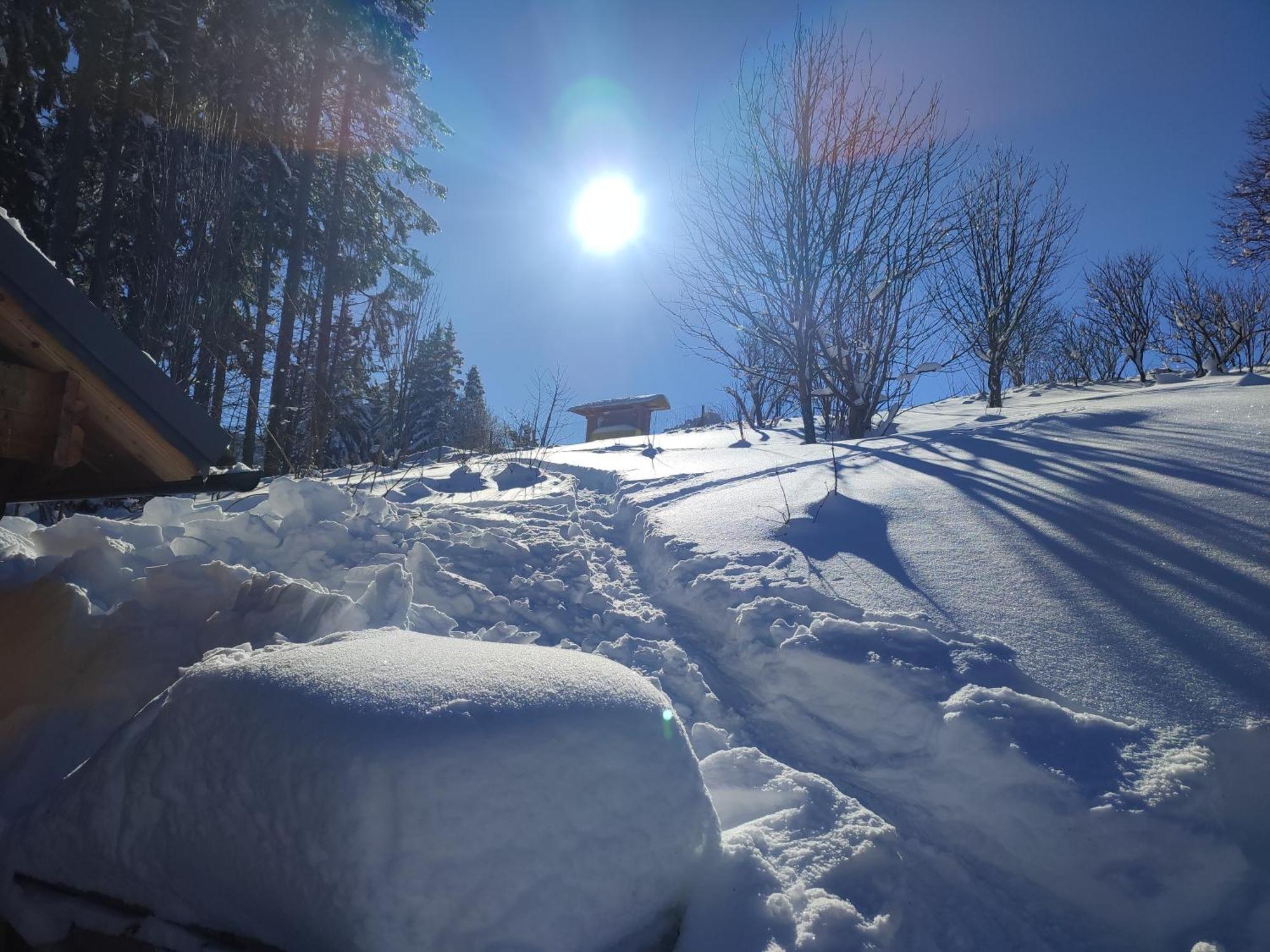 Nature Living Koralm - Neue Chalets Auf Der Koralpe Im Schi- Und Wanderparadies Sankt Stefan im Lavanttal Экстерьер фото